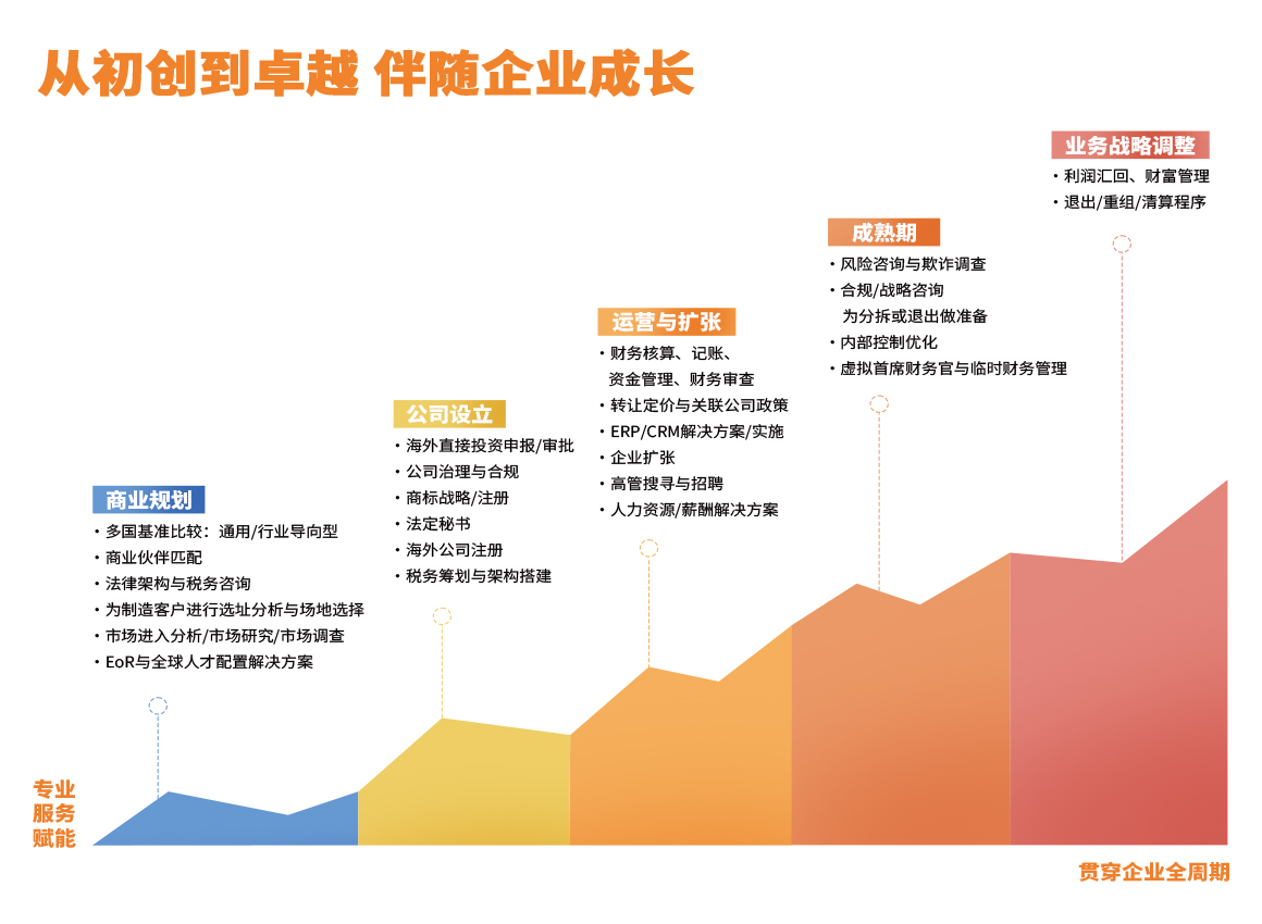 彦德国际业务折线图.jpg